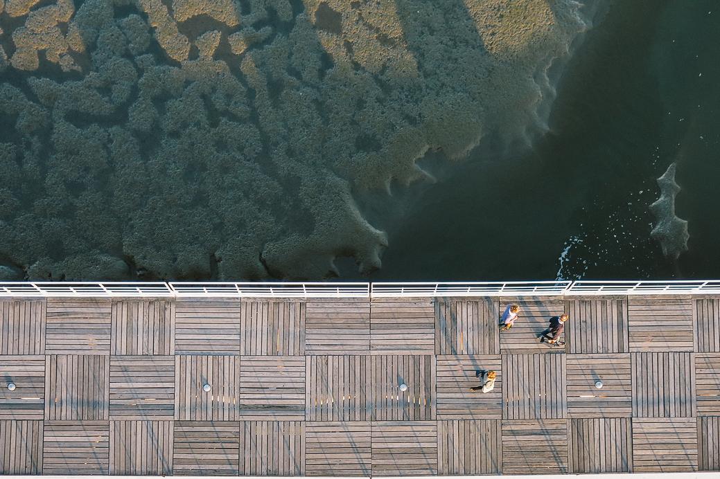 Ut est facilis et qui